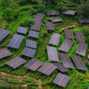 Solar Panels Installed on Green Farmland – Renewable Energy in China