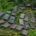 Solar Panels Installed on Green Farmland – Renewable Energy in China